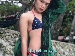 Littlebunnyts
