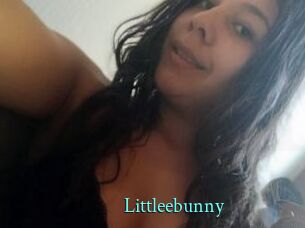 Littleebunny