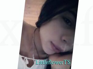 LittleflowerTS