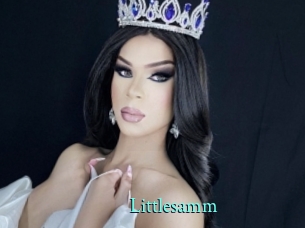 Littlesamm