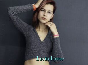 Lucindarose