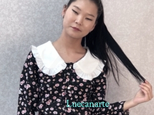 Luecanarte