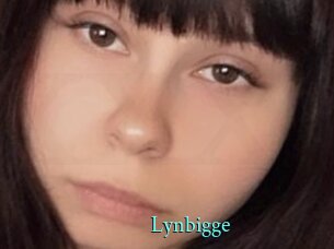 Lynbigge
