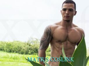 MATIUS_COSLINK