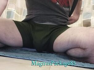 MagnusPackage85