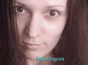 Mandragora xxx Fantasy Land