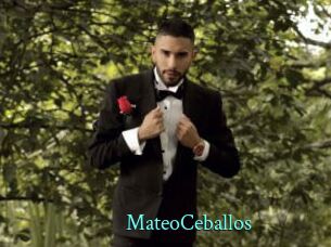 MateoCeballos
