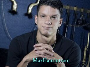 MaxHamintonn