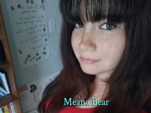 Meana_Bear