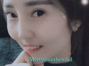 Meetyouinthewind