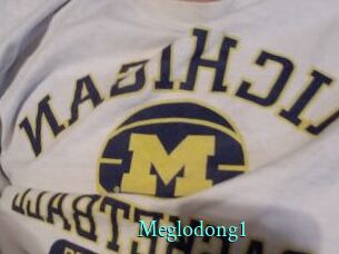 Meglodong1