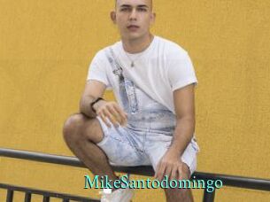 MikeSantodomingo