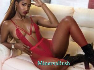 MinervaBush