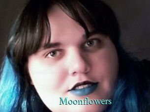 Moonflowers