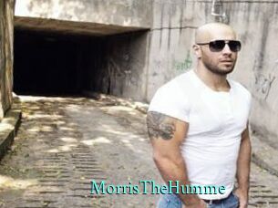 MorrisTheHumme xxx Fantasy Land