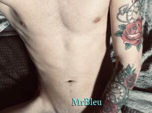 MrBleu