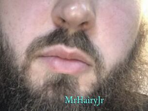 MrHairyJr