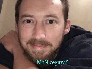 MrNiceguy85