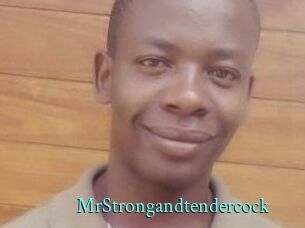 MrStrongandtendercock xxx Fantasy Land