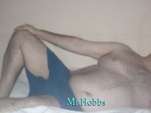 Mr_Hobbs xxx Fantasy Land