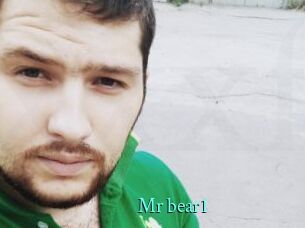 Mr_bear1