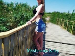 Mysterious_Kitty