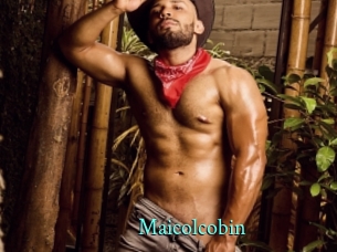 maicolcobin xxx Fantasy Land