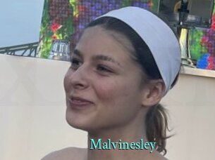 Malvinesley