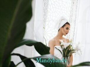 Mandybandy