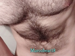 Marcobear18