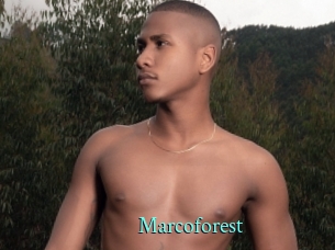 Marcoforest