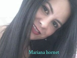 Mariana_hornet