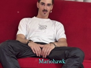 mariohawk xxx Fantasy Land