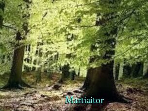 Martiaitor
