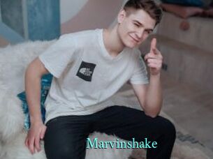 Marvinshake