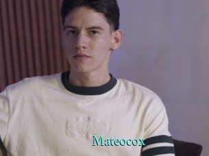 mateocox xxx Fantasy Land