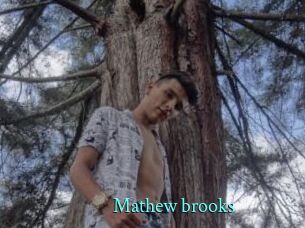 Mathew_brooks