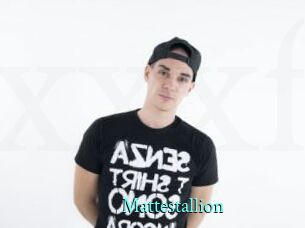 Mattestallion