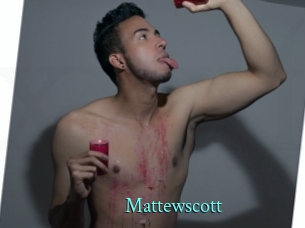 mattewscott xxx Fantasy Land