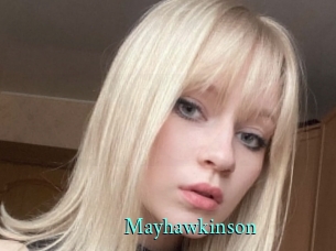 mayhawkinson xxx Fantasy Land