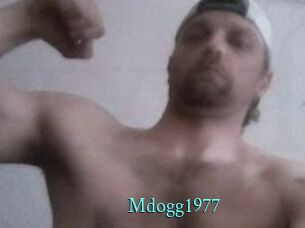 mdogg1977 xxx Fantasy Land