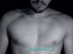 Mecchaud123