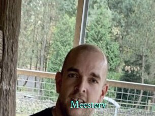 Meesterv