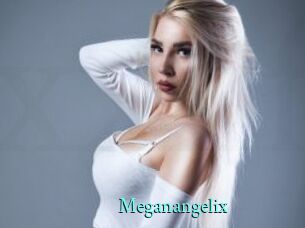 Meganangelix