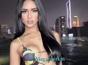 meganbirkin xxx Fantasy Land