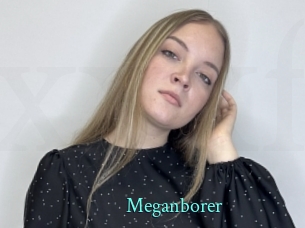Meganborer