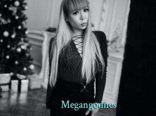 Megangodnes