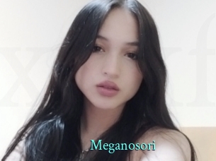 Meganosori