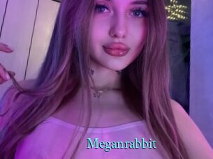 Meganrabbit