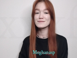 Meghanasp